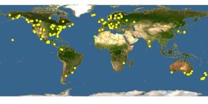 Amanita muscaria drug map