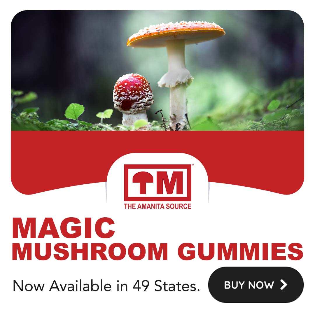 Magic Mushroom Gummies from Trusted Mushrooms