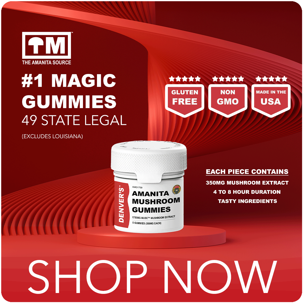 Promotion of TM magic mushrooms with shop now button