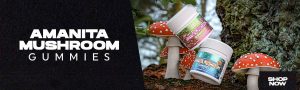 Promotion of Amanita Mushroom Gummies with an image of jars of products with colorful labels and red mushrooms