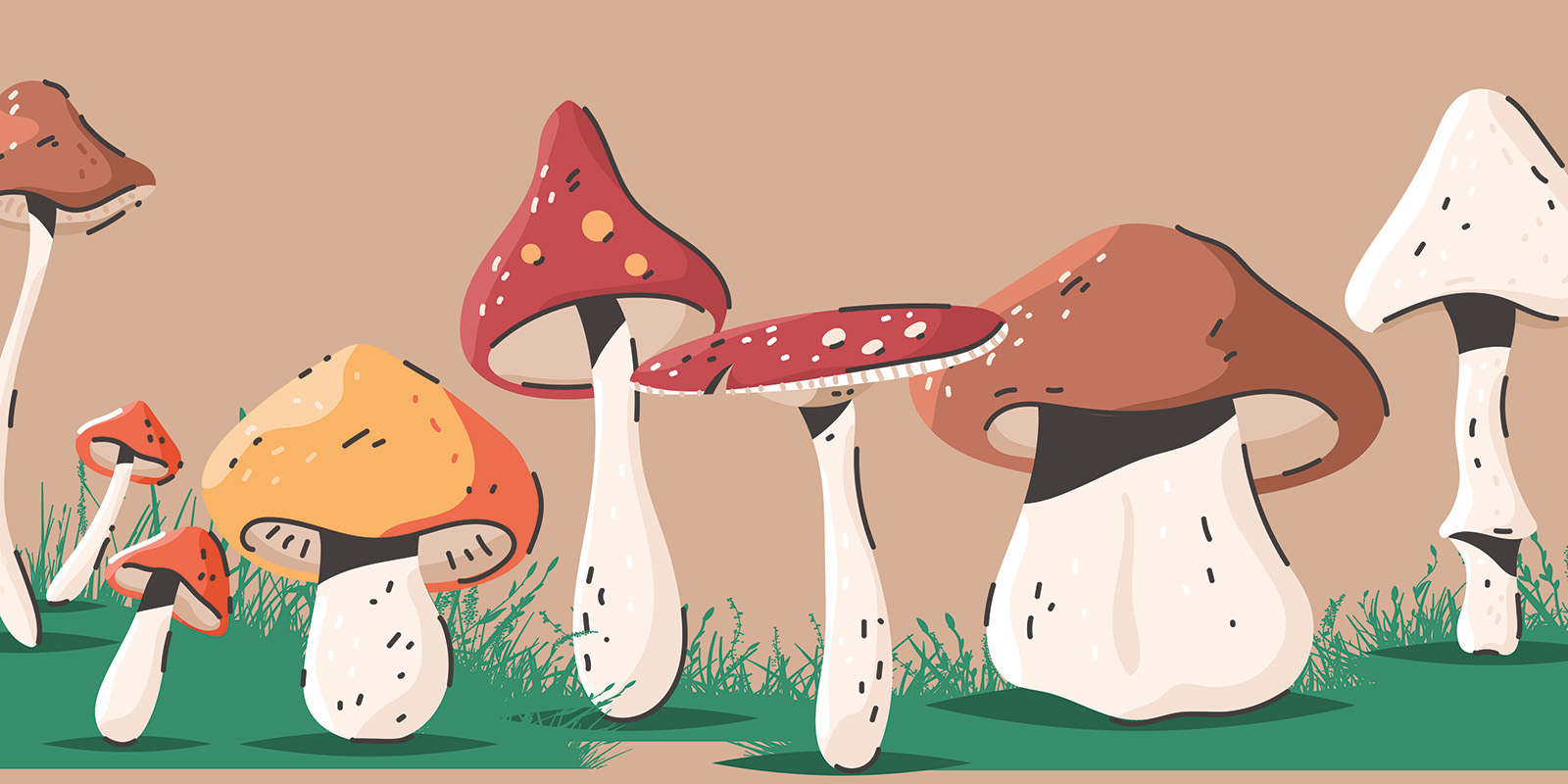 Amanita genus