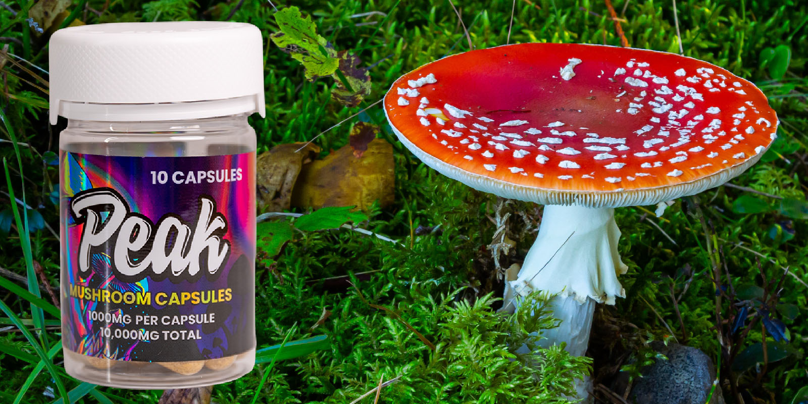 Amanita capsules by Peak