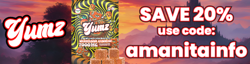 Yumz Amanita Gummies banner