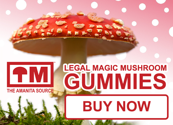 Trusted Mushrooms Coupon Discount Code